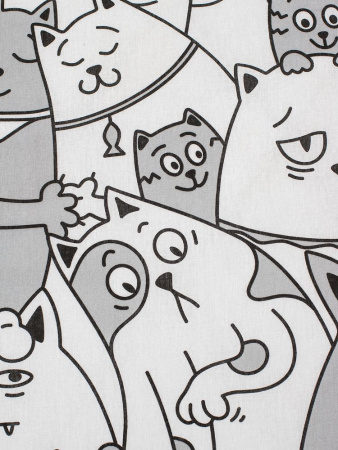 Комплект постельного белья 1,5-спальный, бязь "Комфорт" (Котовасия)