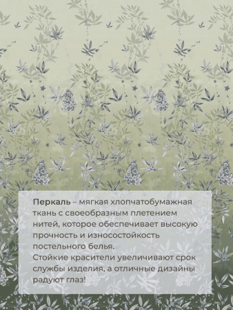 Наволочка 50*70 см, перкаль (Кассиопея, зеленый)