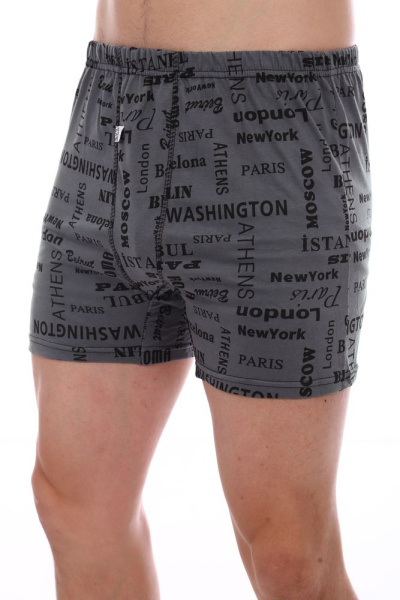 Трусы-боксеры, модель 212, трикотаж (Вояж, серый)